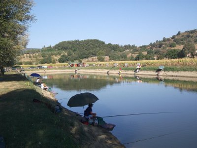 Lago Arunte (Enalpesca) - Cetona